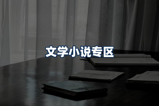 文学小说PDF展示